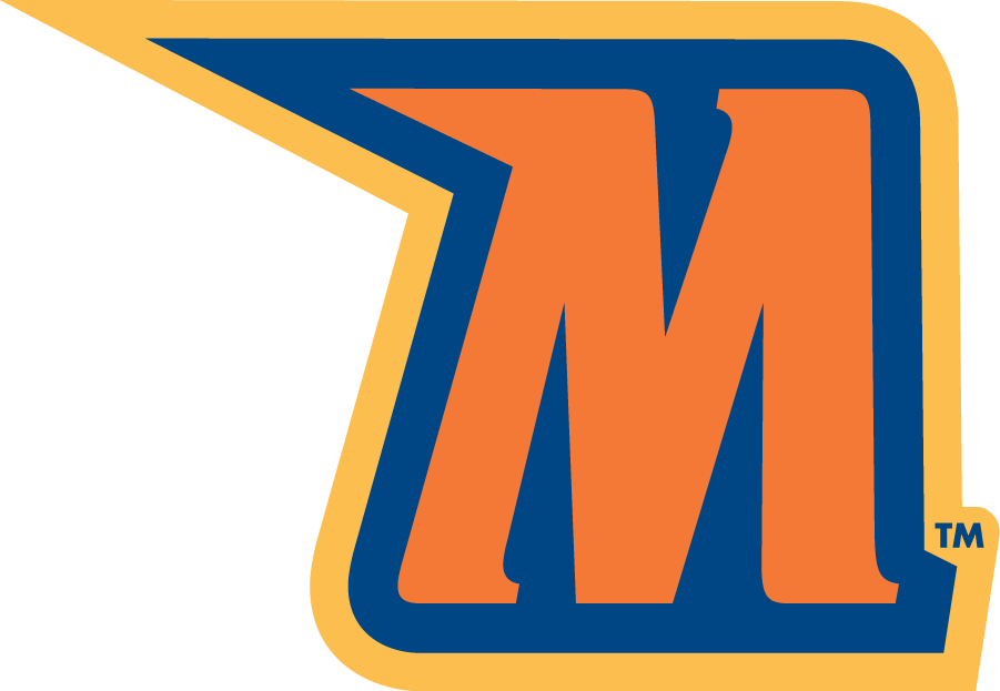 Morgan State Bears 2002-Pres Alternate Logo v3 diy iron on heat transfer